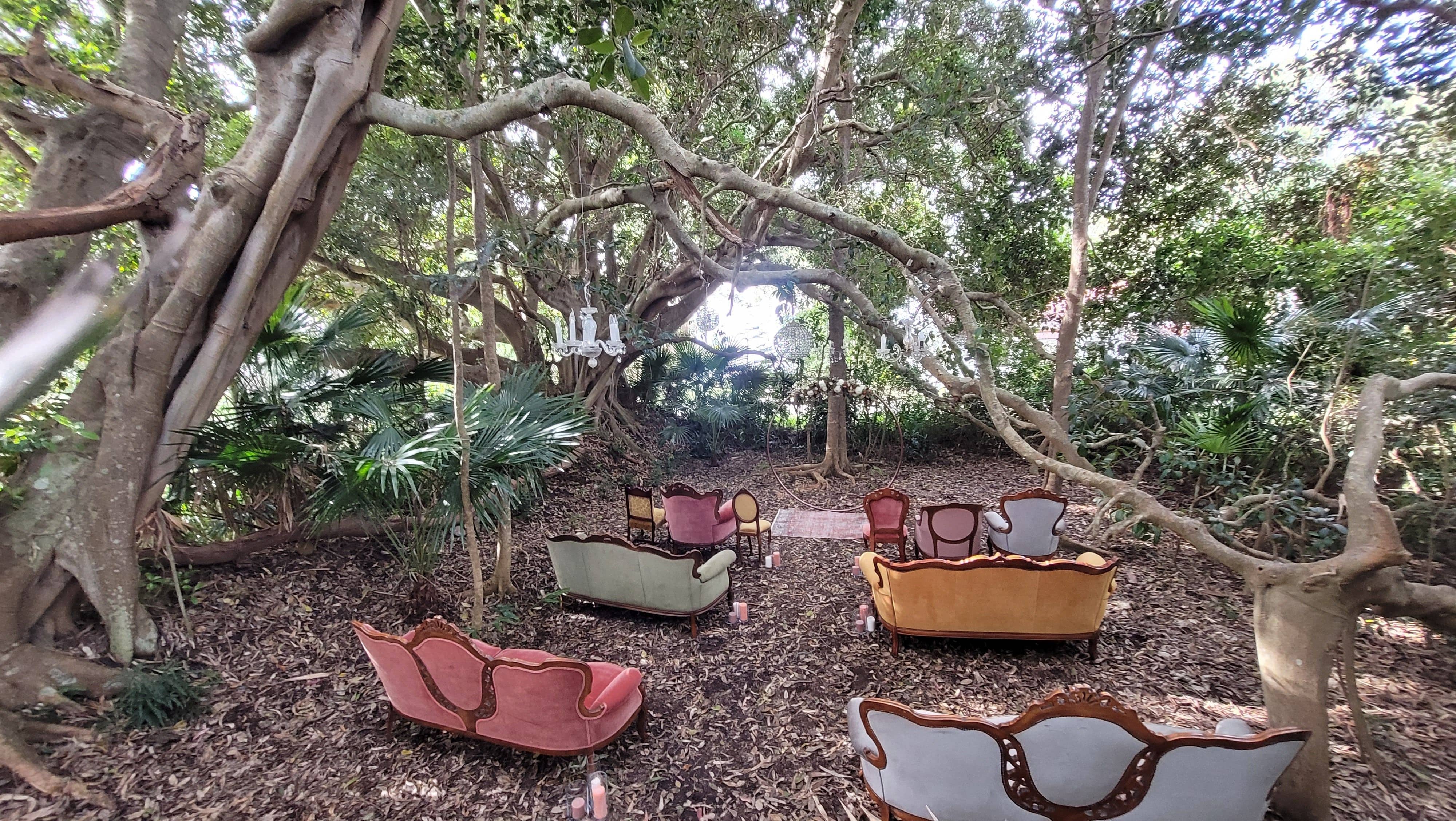Fig Tree wedding ceremony space set under two giant 70year old fig trees in the middle of a rainforest. Rustic styling with vintage velvet chairs.
